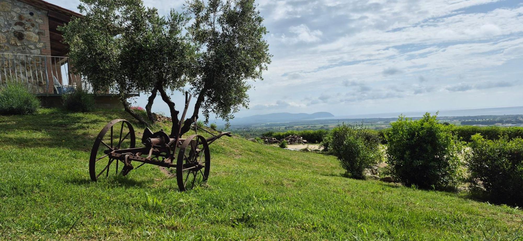 Agriturismo Suite Del Conte サン·ヴィンチェンツォ エクステリア 写真